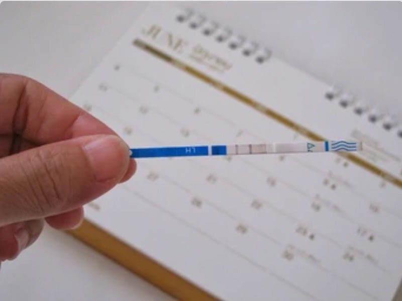 Woman holding a positive Ovulation Test Strip ready to start using her home insemination kit